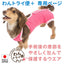 【レンタルサービスわんトライ便+】　術後服エリザベスウエア(男の子・女の子)【ダックス用・小型犬用・中型犬用】【14日間のみ】