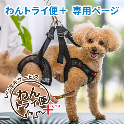 【レンタルサービスわんトライ便+】　アニサポ ケアサポートホルダー