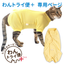 【レンタルサービスわんトライ便+】　フルオープン足付き術後服エリザベスウエア(男女兼用-猫用)イエロー(YE)　【14日間のみ】