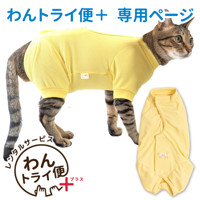 【レンタルサービスわんトライ便+】　フルオープン足付き術後服エリザベスウエア(男女兼用-猫用)イエロー(YE)　【14日間のみ】