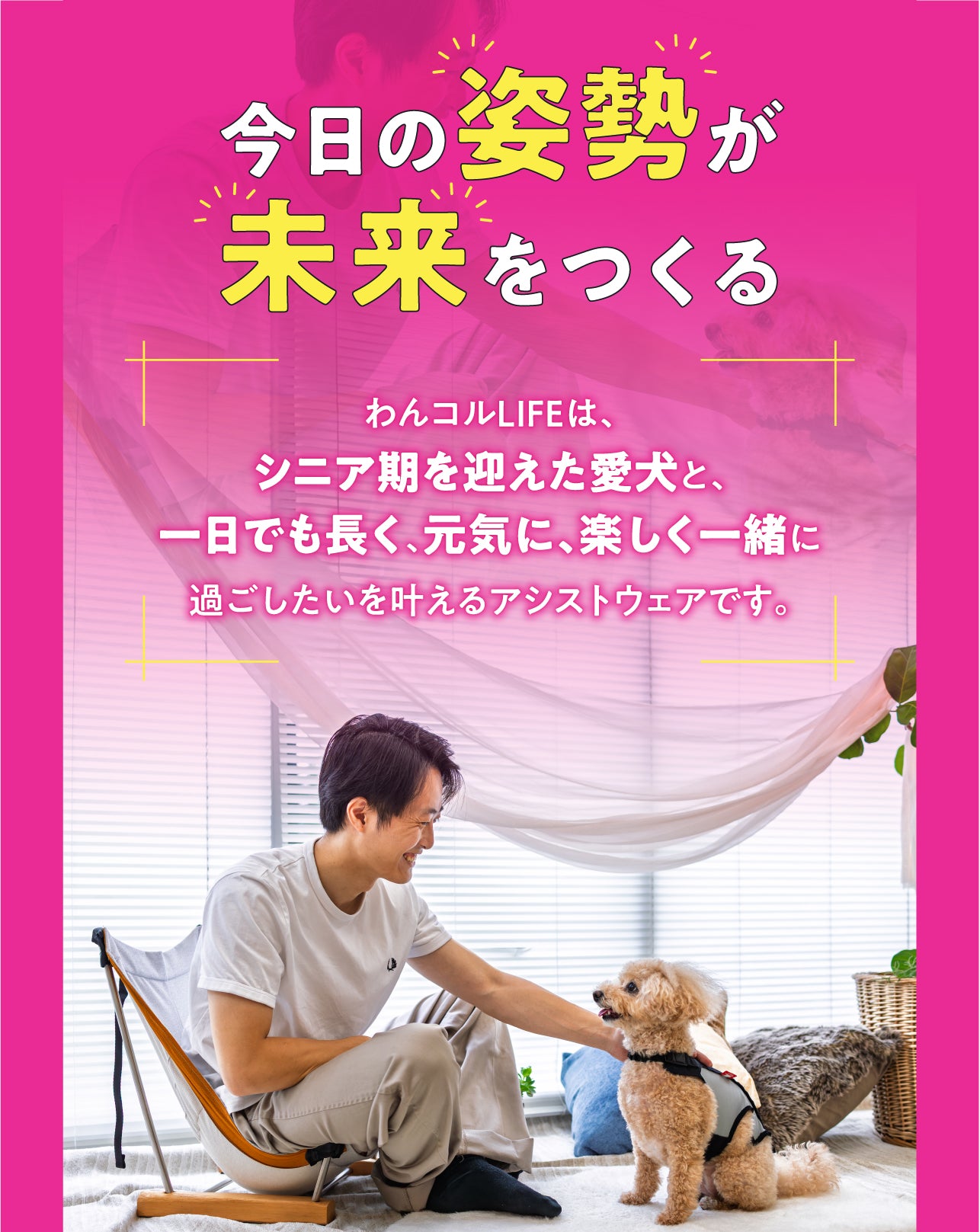 【レンタルサービスわんトライ便+】　わんコル LIFE犬用 コルセット サポーター 歩行補助