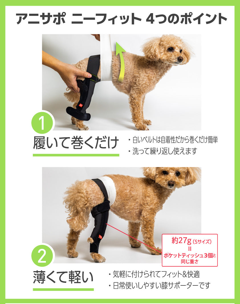 アニサポ ニーフィット