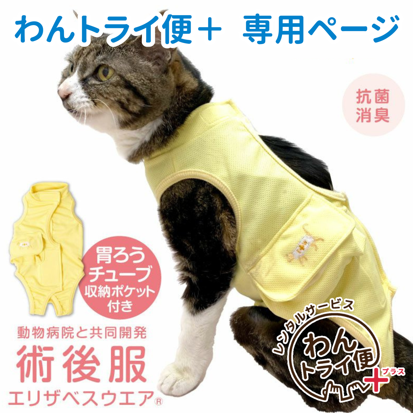 【レンタルサービスわんトライ便+】　フルオープン胃ろうチューブ対応術後服エリザベスウエア(男女兼用-猫用)イエロー(YE) 【14日間のみ】