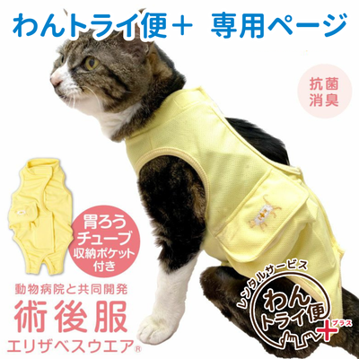 【レンタルサービスわんトライ便+】　フルオープン胃ろうチューブ対応術後服エリザベスウエア(男女兼用-猫用)イエロー(YE) 【14日間のみ】