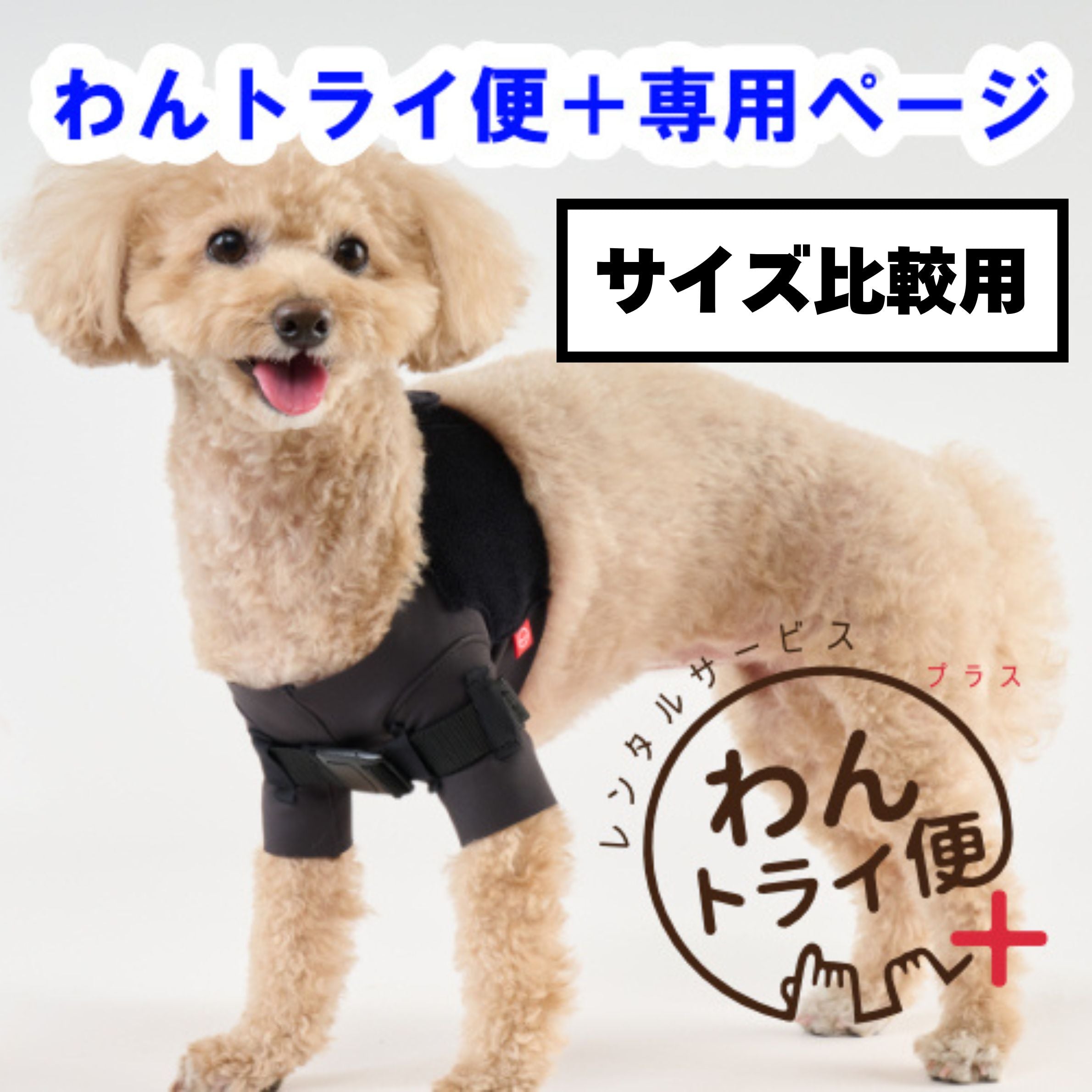 レンタルサービスわんトライ便+】 アニサポ ショルダースリーブ 犬用肩