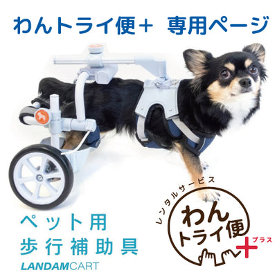 【レンタルサービス】わんトライ便　犬用車椅子　ランダムカート　特許取得のスイングアーム構造