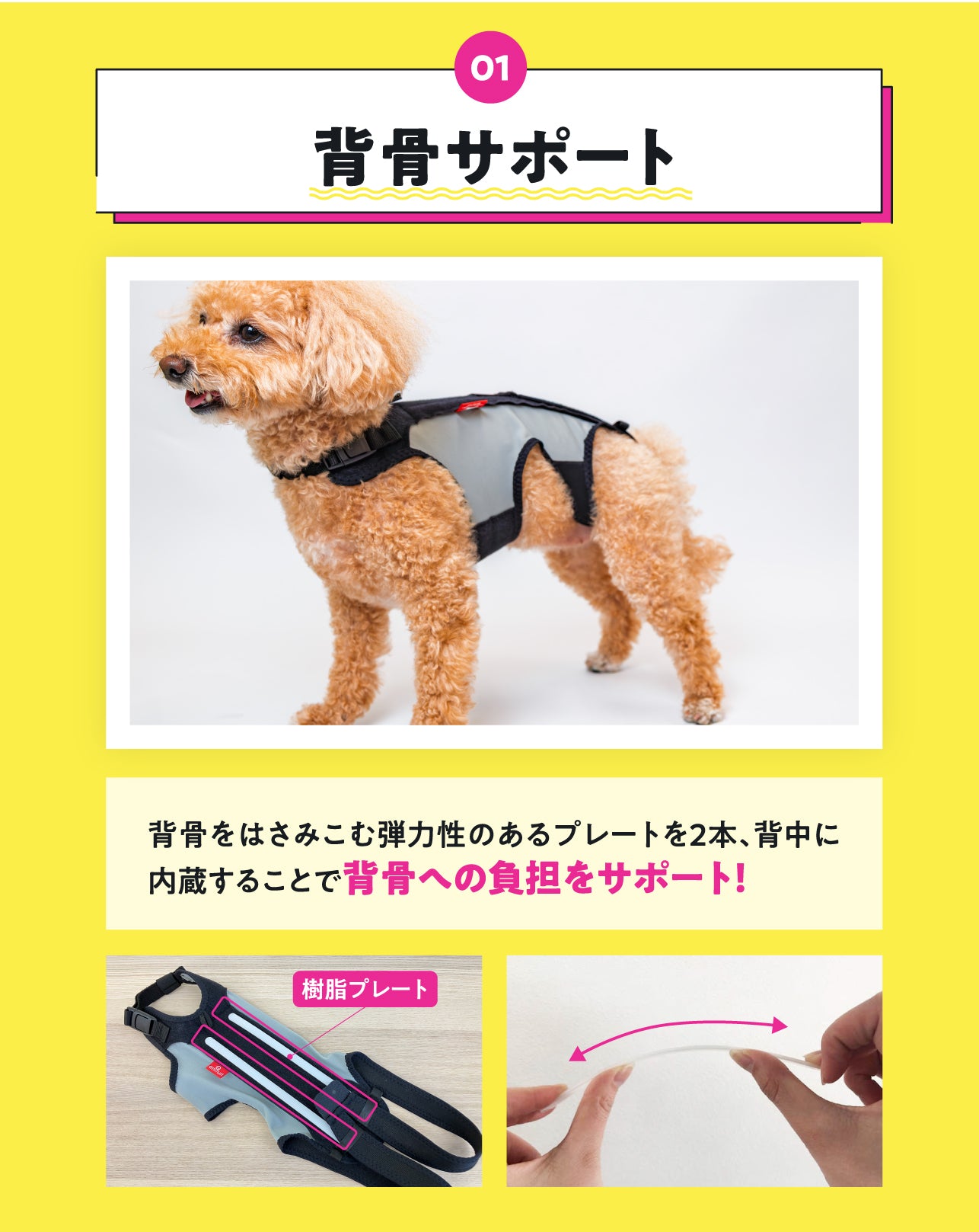 【レンタルサービスわんトライ便+】　わんコル LIFE犬用 コルセット サポーター 歩行補助