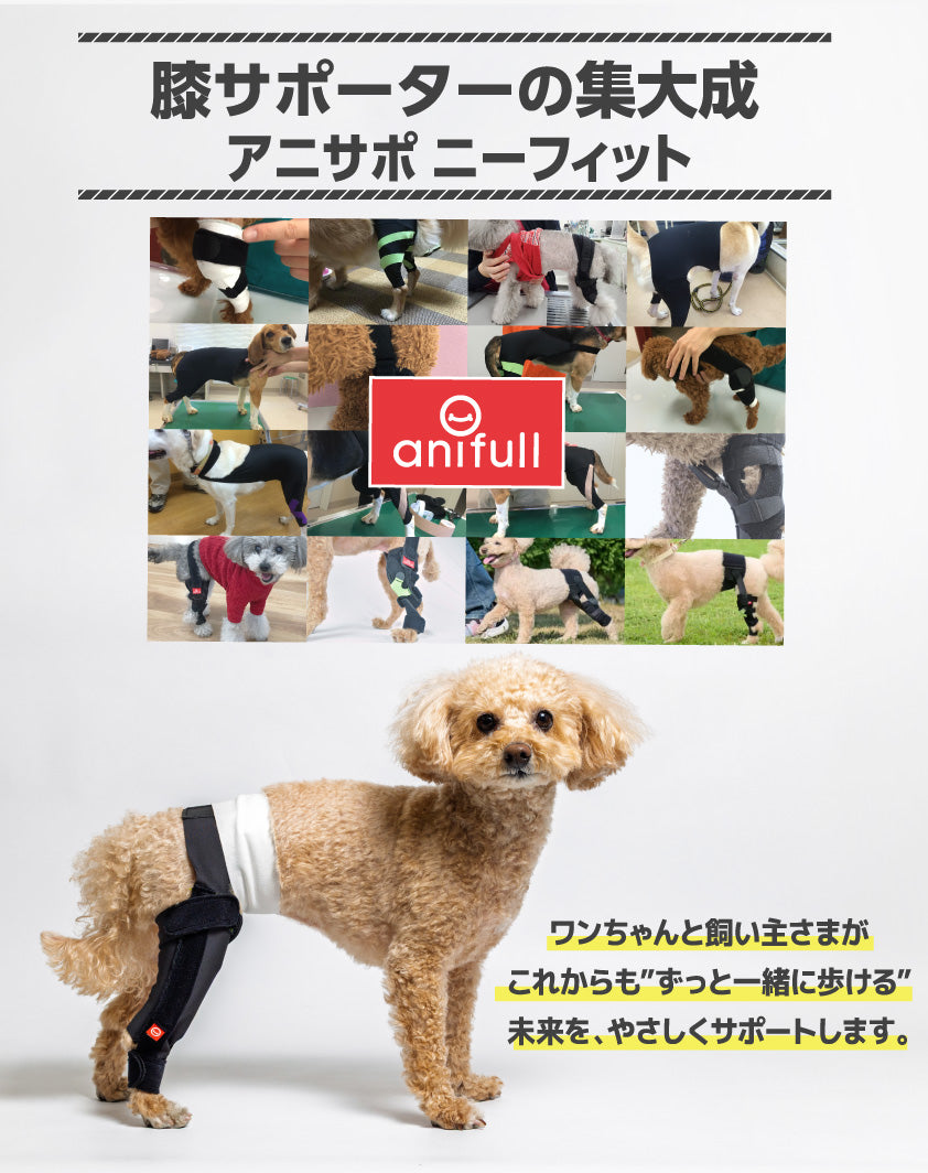 アニサポ ニーフィット
