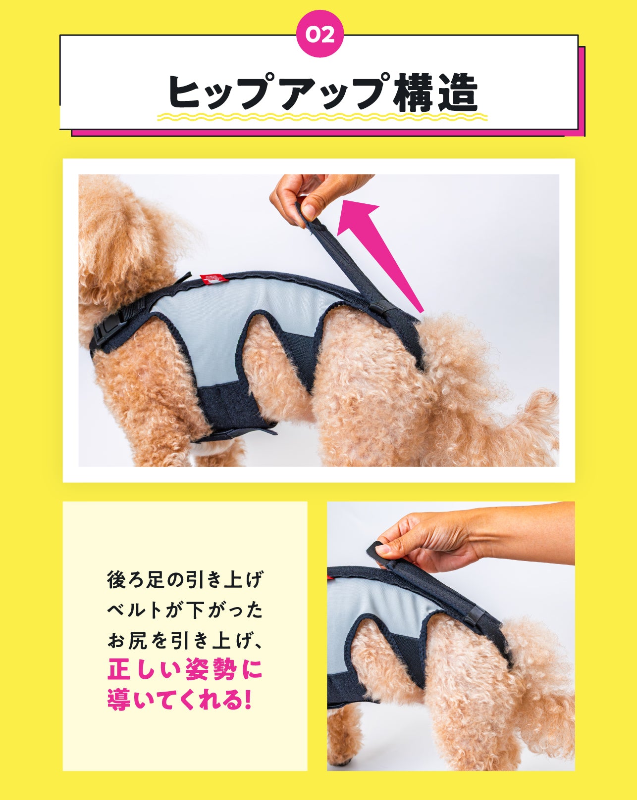わんコル 持ち手つき ソフトタイプ 犬用 コルセット サポーター 歩行