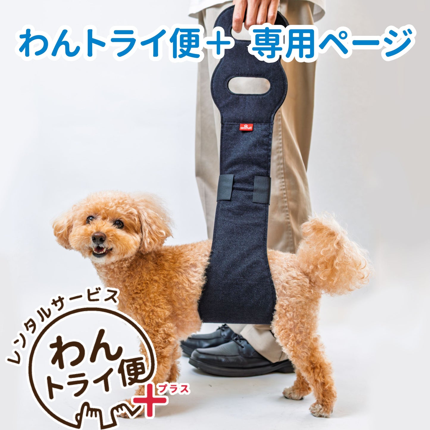 【レンタルサービスわんトライ便+】　アニサポ 持ち上げベルト