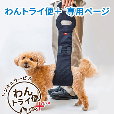 【レンタルサービスわんトライ便+】　アニサポ 持ち上げベルト