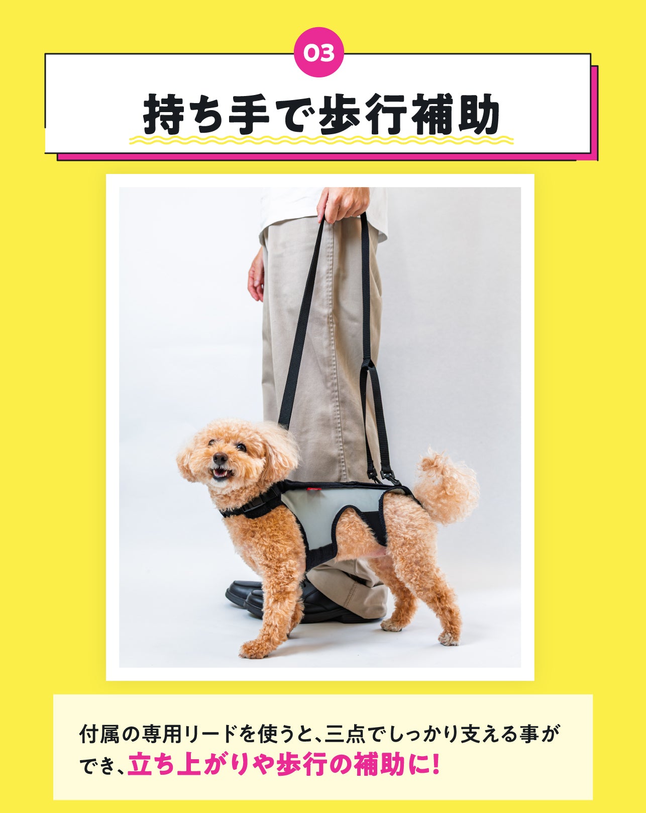 【レンタルサービスわんトライ便+】　わんコル LIFE犬用 コルセット サポーター 歩行補助