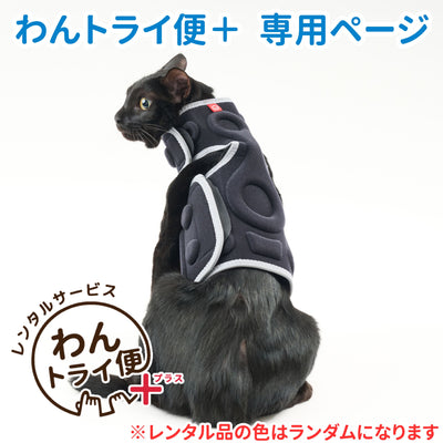 【レンタルサービスわんトライ便+】　アニサポ にゃんケアチョッキ