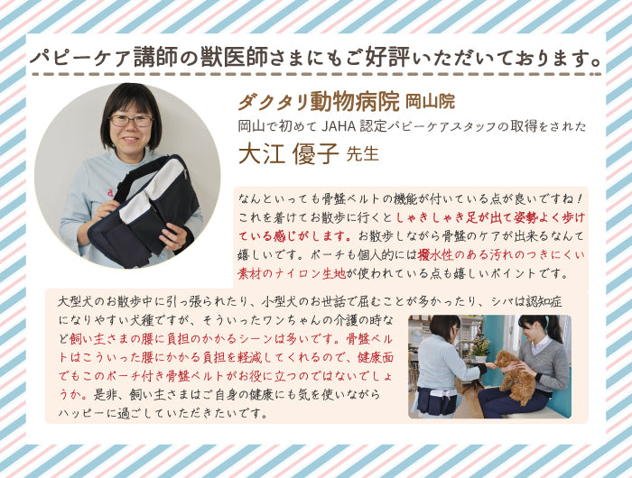 アニサポオーナー ポーチ付き骨盤ググッとベルト　骨盤帯　お散歩ポーチ