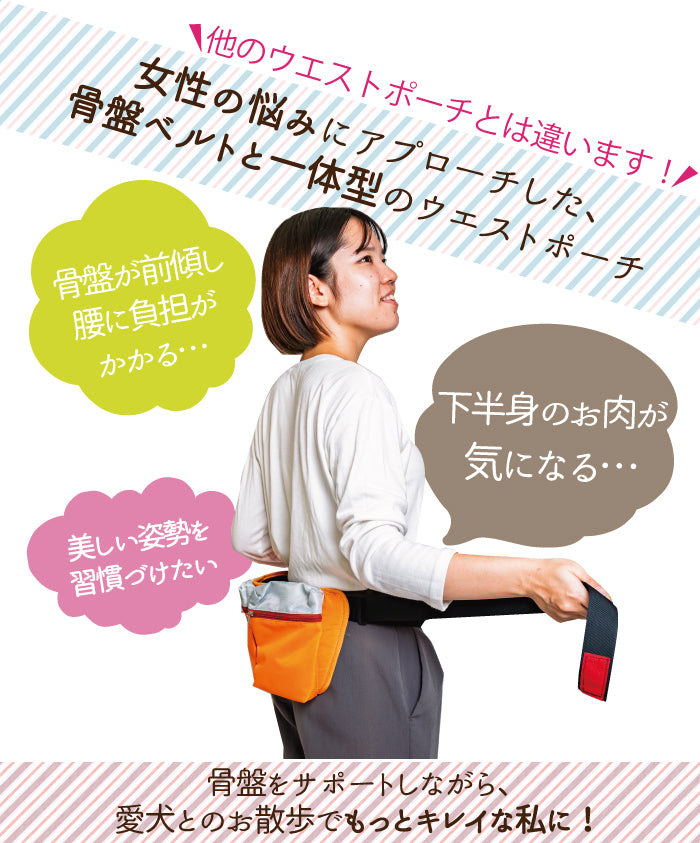 アニサポオーナー ポーチ付き骨盤ググッとベルト 骨盤帯 お散歩ポーチ