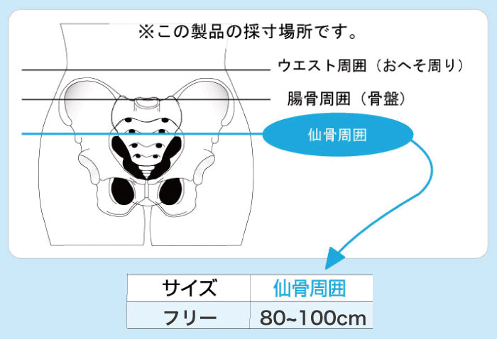 アニサポオーナー ポーチ付き骨盤ググッとベルト　骨盤帯　お散歩ポーチ
