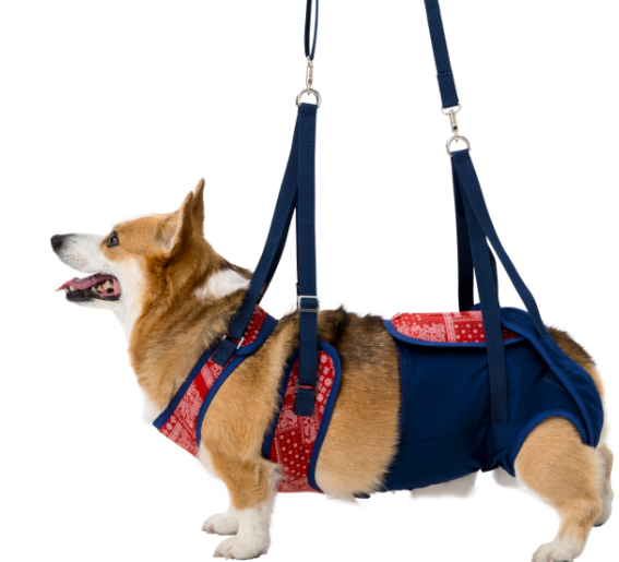 介護ハーネス LaLaWalk 中型犬・コーギー用 – anifull 介護ハーネス LaLaWalk 中型犬・コーギー用 – anifull