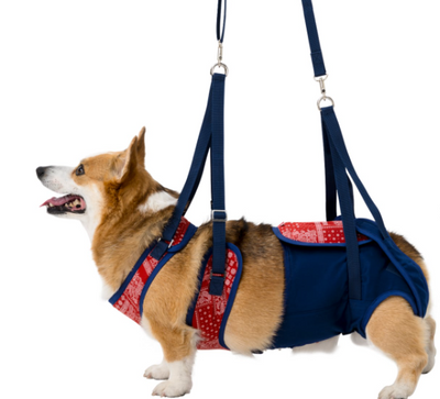 介護ハーネス LaLaWalk 中型犬・コーギー用