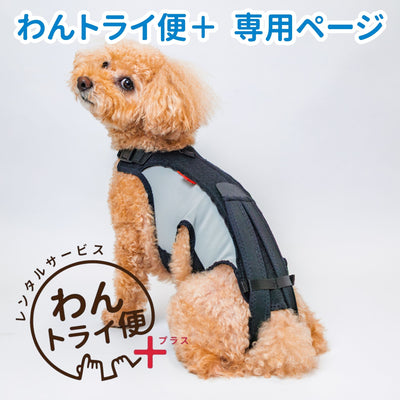 【レンタルサービスわんトライ便+】　わんコル LIFE犬用 コルセット サポーター 歩行補助
