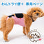 【レンタルサービスわんトライ便+】　キズぐちエプロンSE 犬用【14日間のみ】