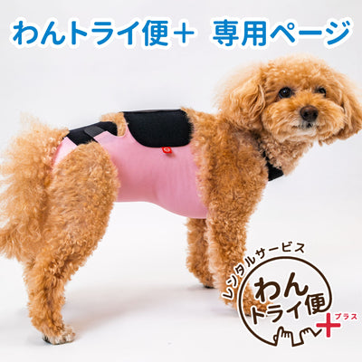【レンタルサービスわんトライ便+】　キズぐちエプロンSE 犬用【14日間のみ】