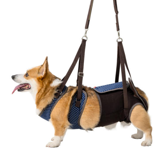 介護ハーネス LaLaWalk 中型犬・コーギー用 – anifull 介護ハーネス LaLaWalk 中型犬・コーギー用 – anifull