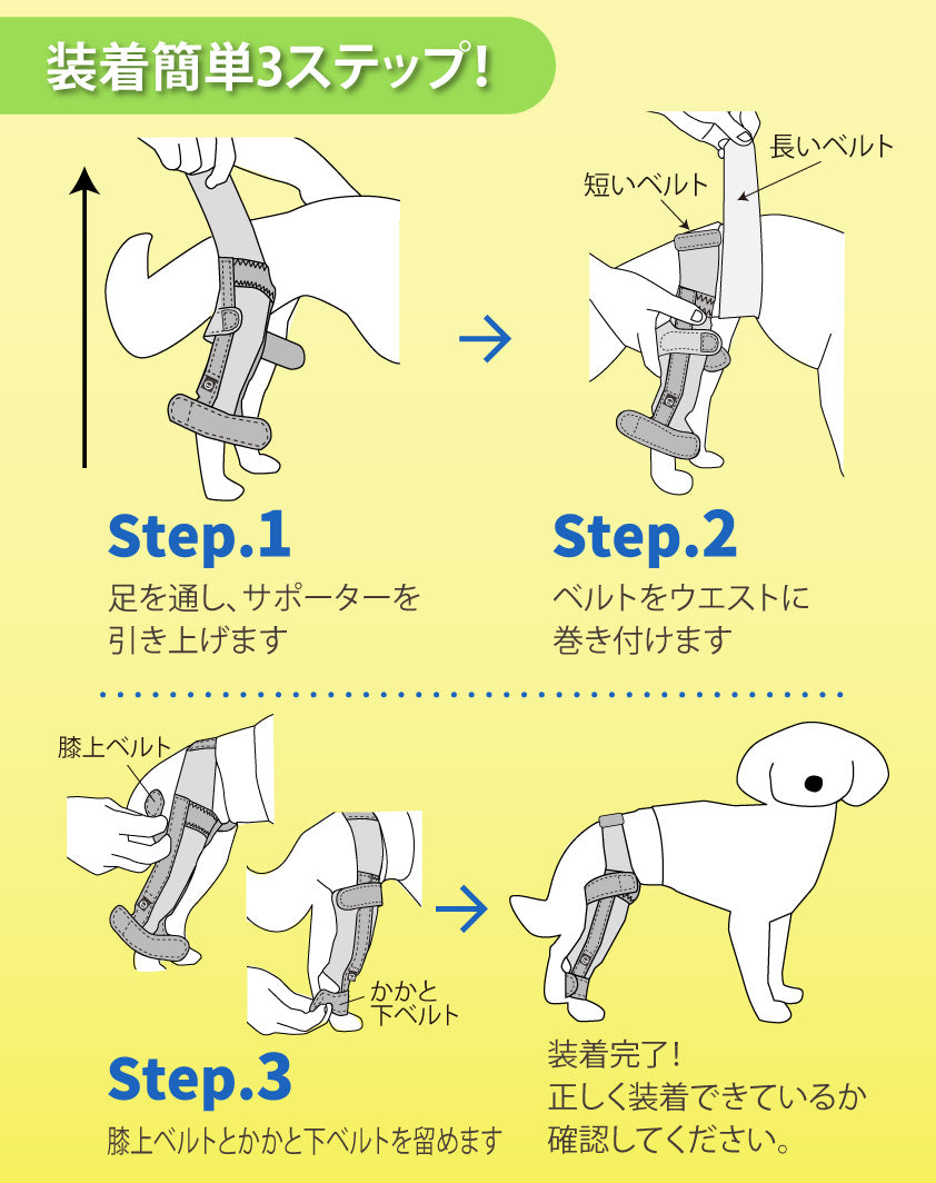 アニサポ ニーフィット