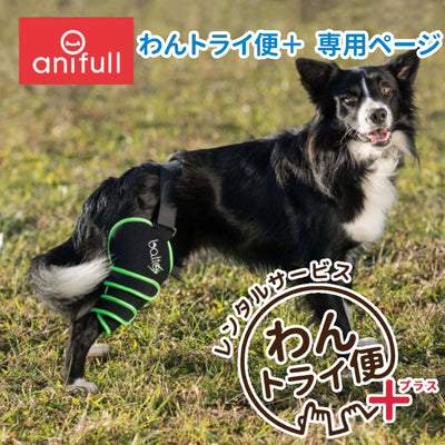 【レンタルサービスわんトライ便+】BALTO SPORT AGILE (膝サポーター)　犬用　後ろ足　サポーター