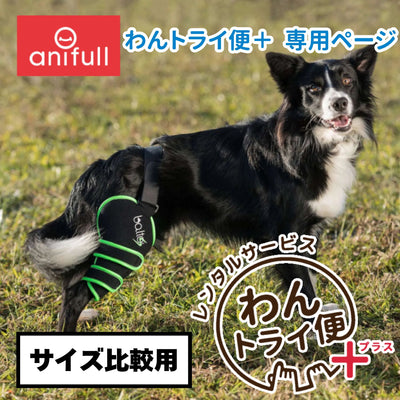 【レンタルサービスわんトライ便+】BALTO SPORT AGILE (膝サポーター)　犬用　後ろ足　サポーター 前後サイズ比較用　【7日間のみ】