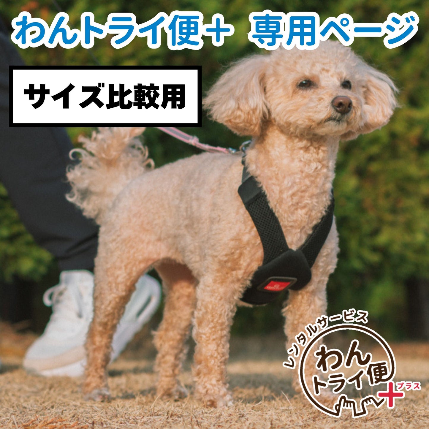 【レンタルサービスわんトライ便+】　「アクティブに、どこまでも。」 気管解放のハーネス　アニサポ ハーレストActive 前後サイズ比較用　【7日間のみ】