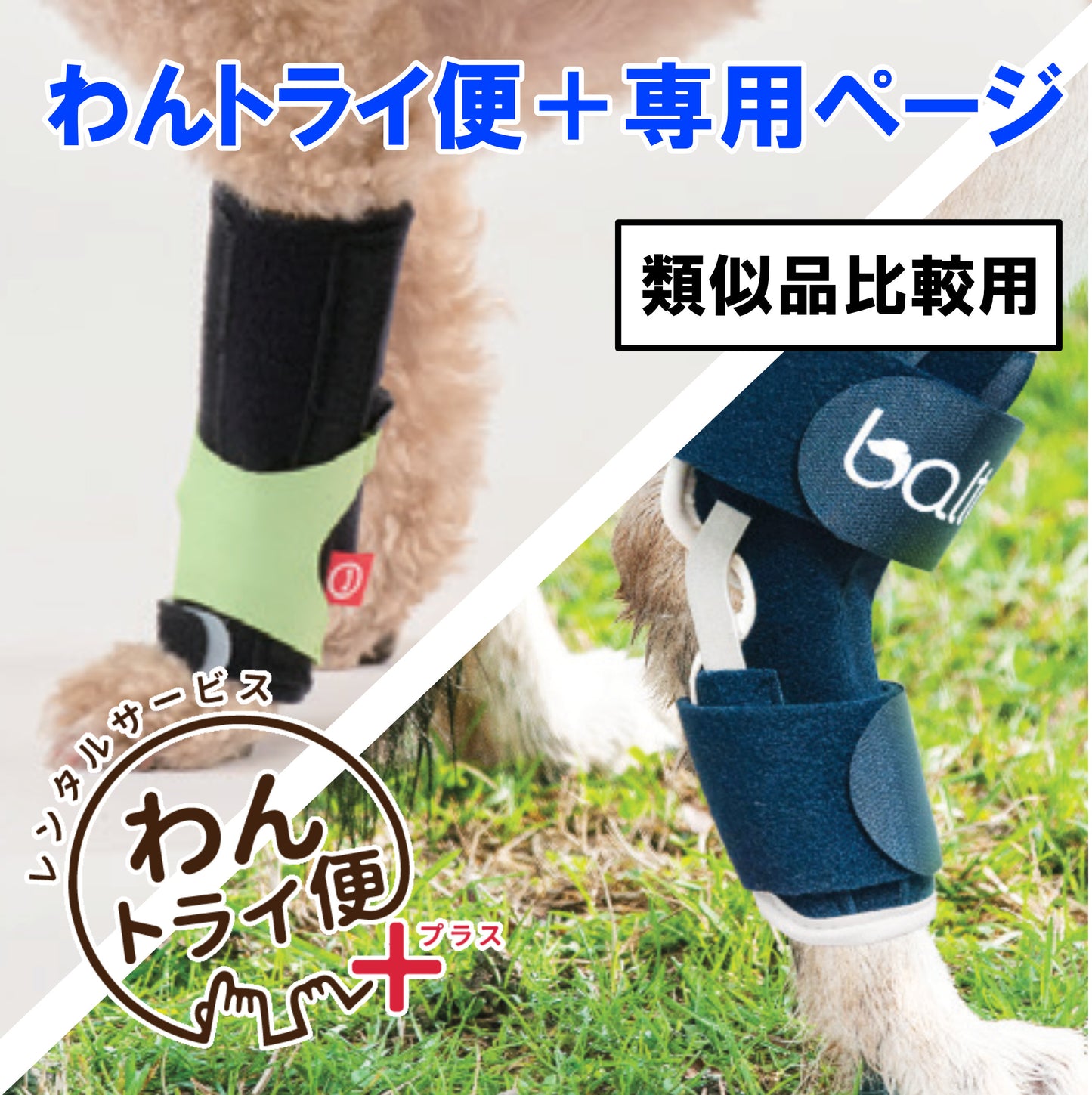 【レンタルサービスわんトライ便+】　アニサポ キック＆BT HOCK　類似品比較用　【7日間】