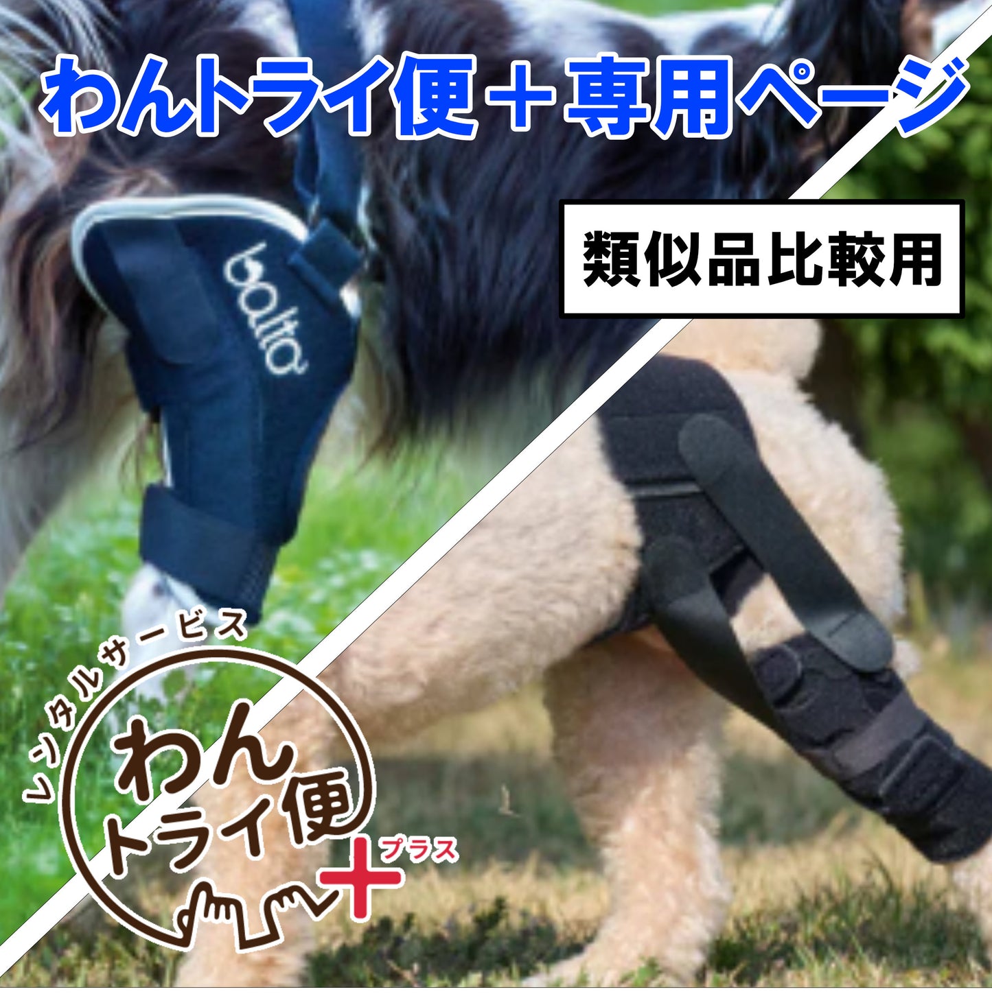 【レンタルサービスわんトライ便+】　アニサポ パテラン＆BT JUMP　類似品比較用　【7日間】
