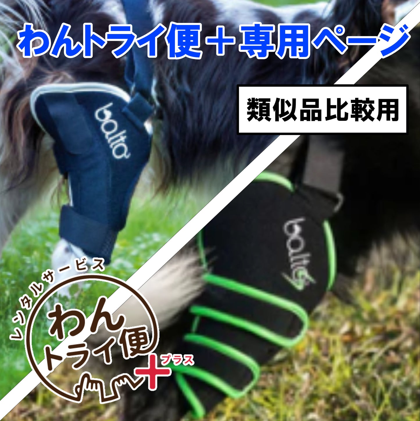 【レンタルサービスわんトライ便+】　BALTO SPORTS AGIRE＆BT JUMP　類似品比較用　【7日間】