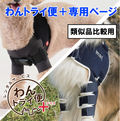 【レンタルサービスわんトライ便+】　アニサポ ショルダースリーブ＆BT LUX　類似品比較用　【7日間】