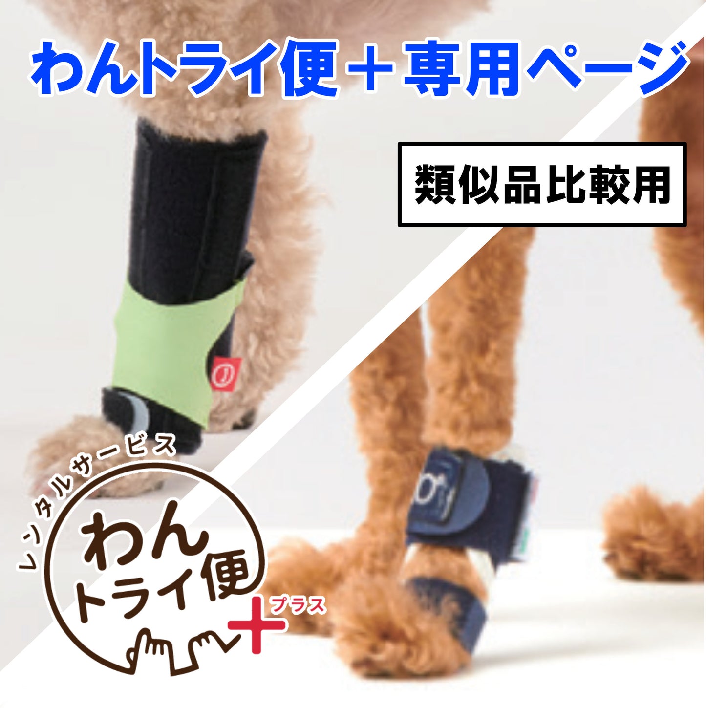 【レンタルサービスわんトライ便+】　アニサポ キック＆BT SPLINT　類似品比較用　【7日間】
