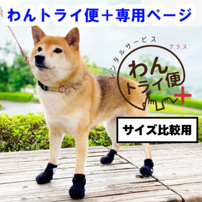 【レンタルサービスわんトライ便+】　犬用シューズ　アニサポ ナックルンHERO 前後サイズ比較用　【7日間のみ】