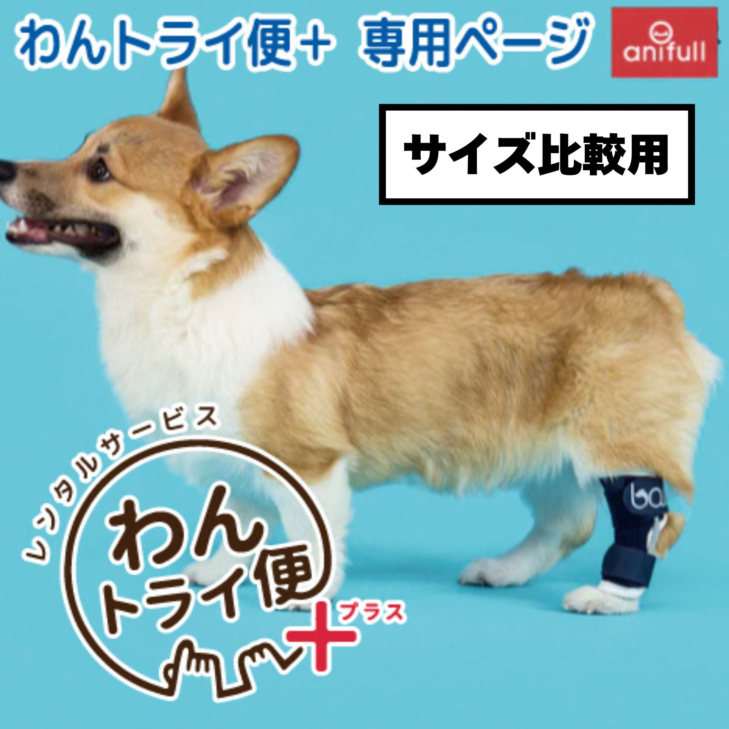 レンタルサービスわんトライ便+】BT HOCK(足根関節サポーター) 犬用