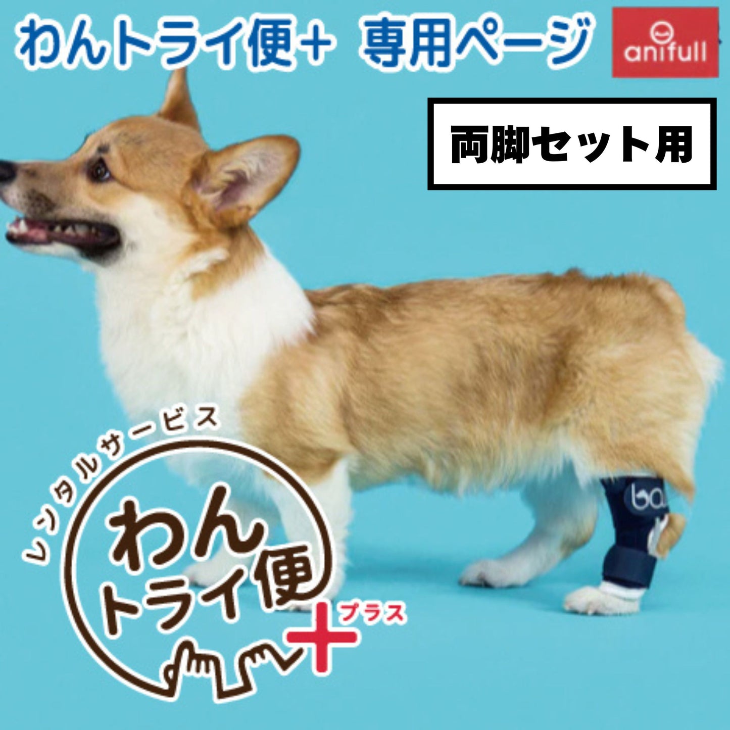 【レンタルサービスわんトライ便+】BT HOCK(足根関節サポーター)　犬用　足首節サポーター 両脚セット用　【7日間】