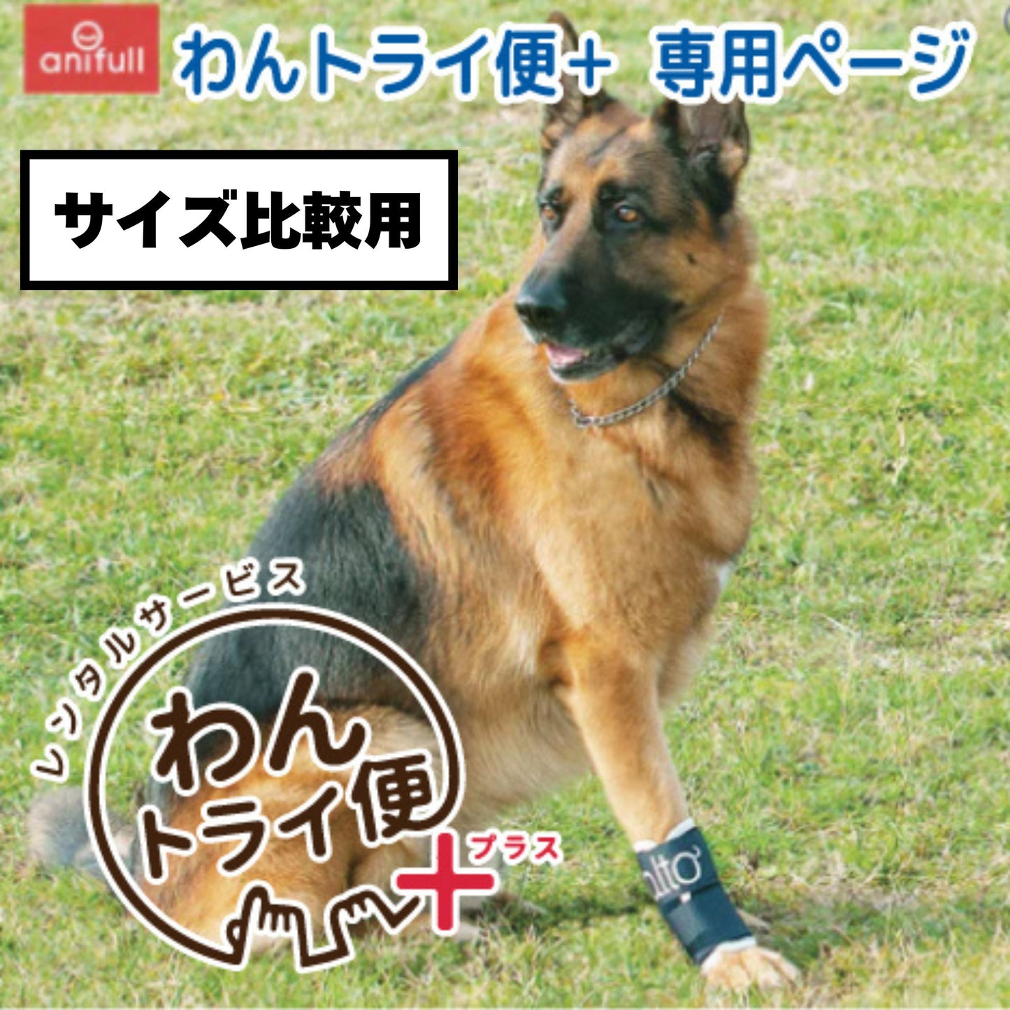 【レンタルサービスわんトライ便+】BT JOINT(手首サポーター)　犬用　手首サポーター 前後サイズ比較用　【7日間のみ】