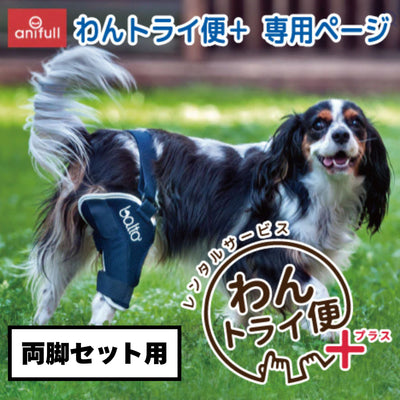 【レンタルサービスわんトライ便+】BT JUMP (膝サポーター)　犬用　後ろ足　サポーター 両脚セット用　【7日間】