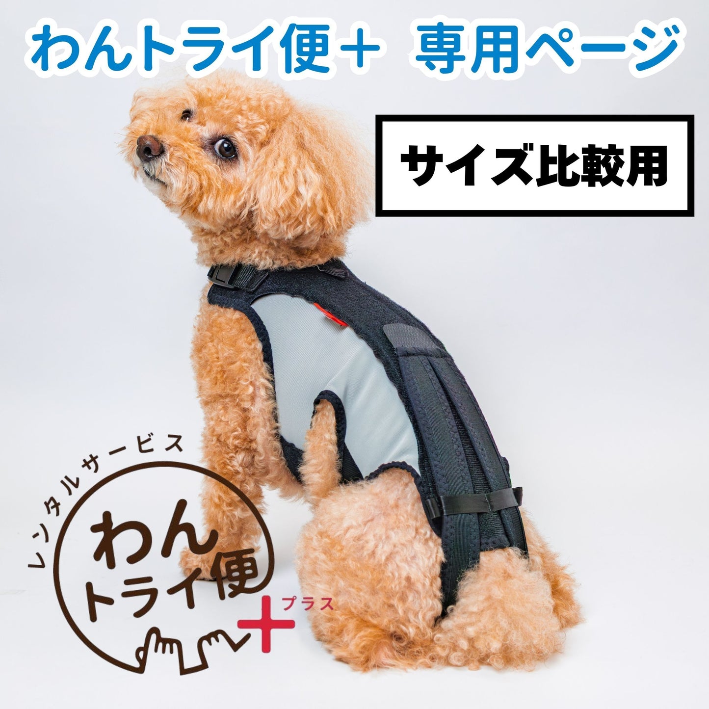 【レンタルサービスわんトライ便+】　わんコル LIFE犬用 コルセット サポーター 歩行補助 前後サイズ比較用　【7日間のみ】