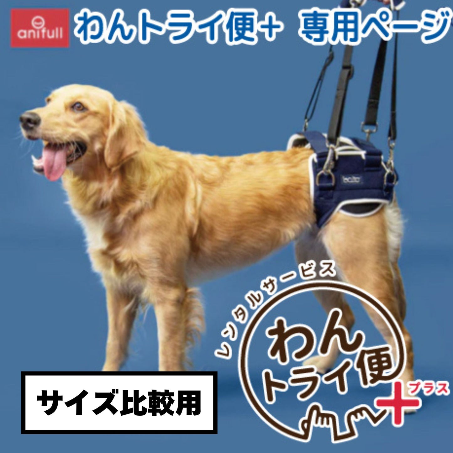 【レンタルサービスわんトライ便+】BT LIFE(股関節サポーター)　犬用　股関節サポーター 前後サイズ比較用　【7日間のみ】