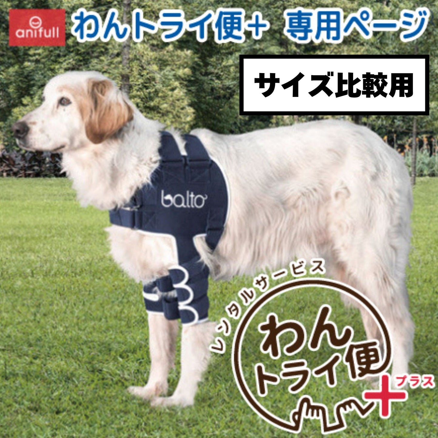 【レンタルサービスわんトライ便+】BT LUX(肩関節サポーター)　犬用　肩サポーター 前後サイズ比較用　【7日間のみ】