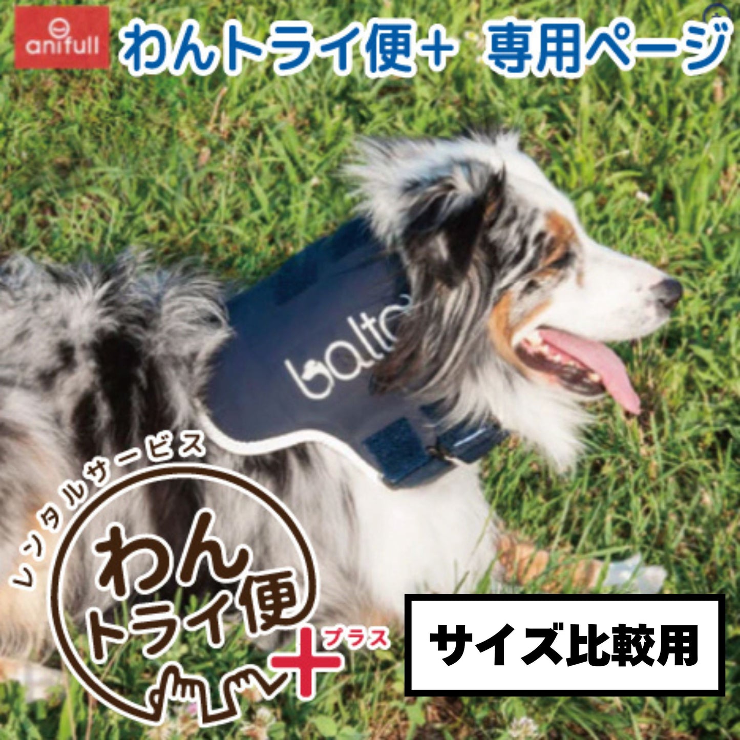 【レンタルサービスわんトライ便+】BT NECK(首サポーター)　犬用頸椎サポーター 首のサポートに　前後サイズ比較用　【7日間のみ】