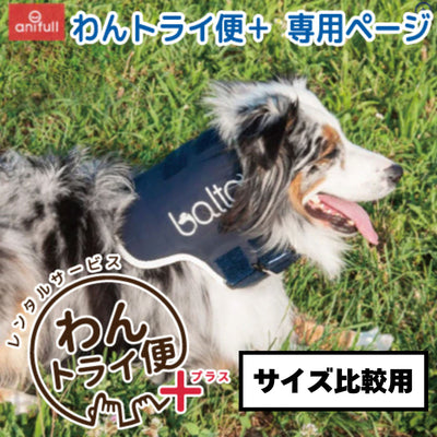 【レンタルサービスわんトライ便+】BT NECK(首サポーター)　犬用頸椎サポーター 首のサポートに　前後サイズ比較用　【7日間のみ】