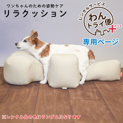 【レンタルサービスわんトライ便+】リラクッション　