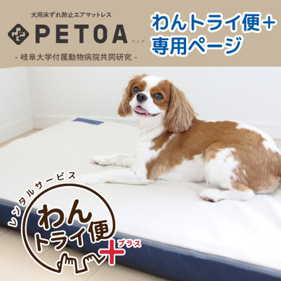 【レンタルサービスわんトライ便+】　PETOA(ぺトア)犬用床ずれエアマットレス