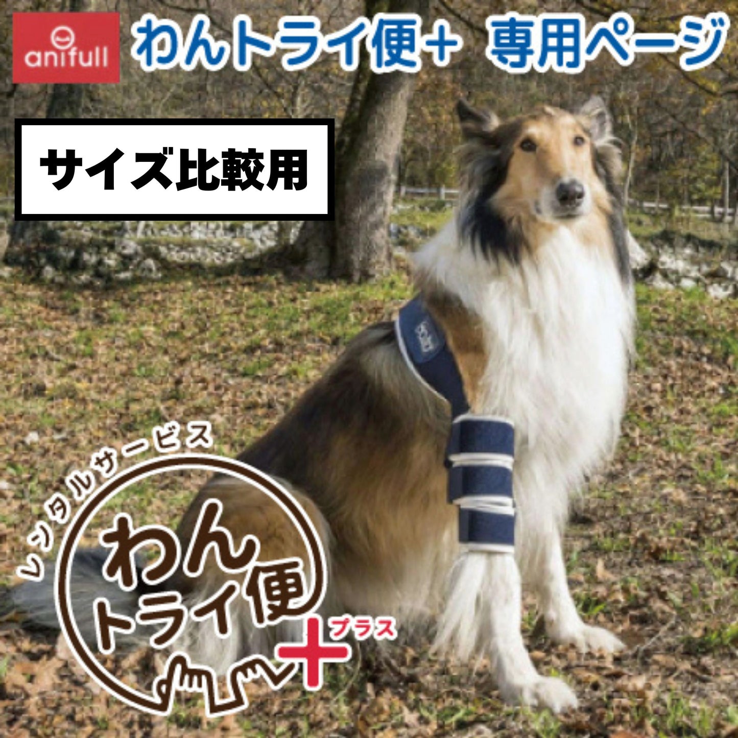 【レンタルサービスわんトライ便+】BT SOFT 肘関節サポーター 前後サイズ比較用　【7日間のみ】