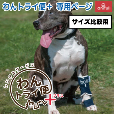 【レンタルサービスわんトライ便+】BT SPLINT(手根関節サポーター)　犬用　前足　サポーター 前後サイズ比較用　【7日間のみ】