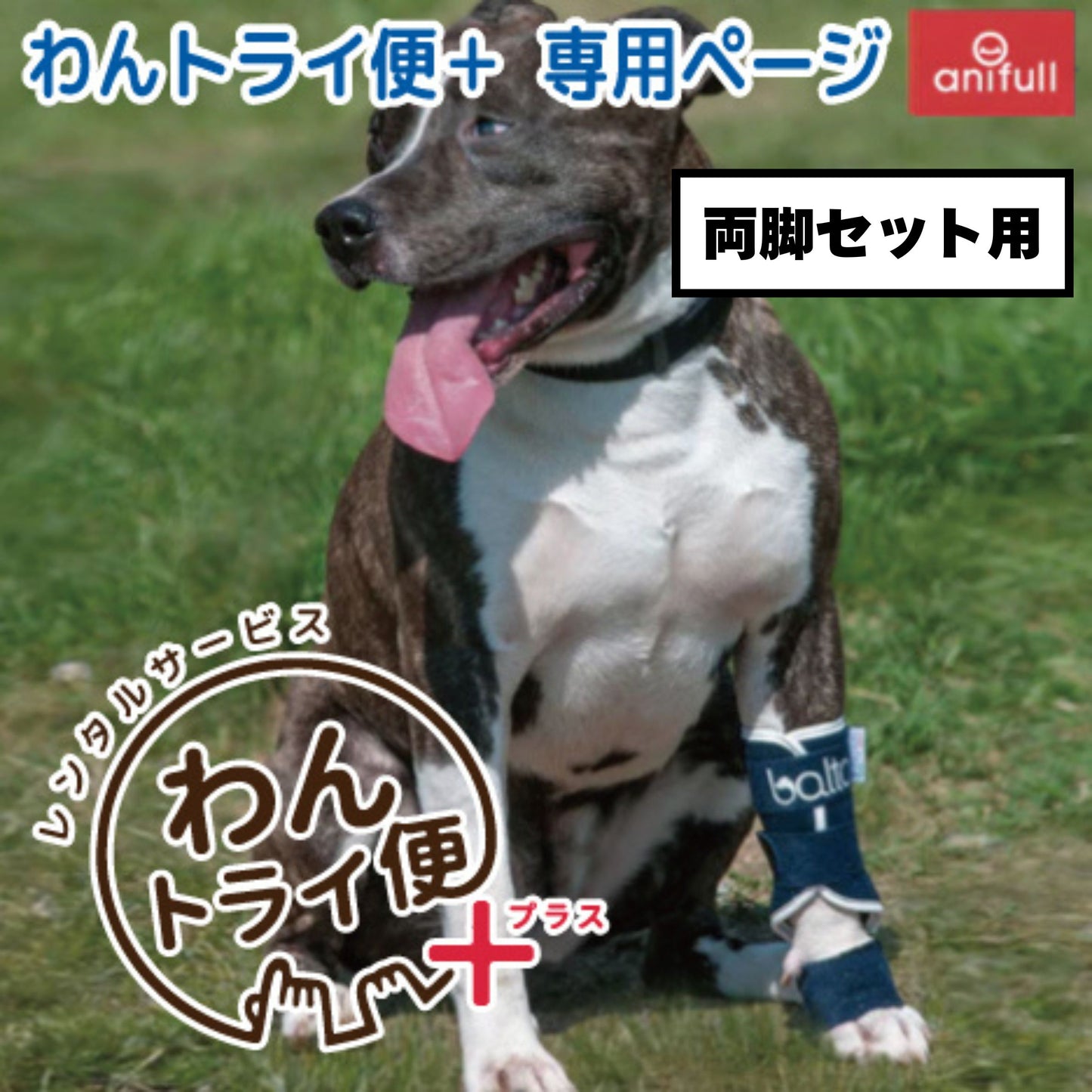 【レンタルサービスわんトライ便+】BT SPLINT(手根関節サポーター)　犬用　前足　サポーター 両脚セット用　【7日間】